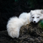 teresa-mfTW3jjO3wQ-unsplash